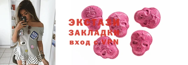 ECSTASY Богданович